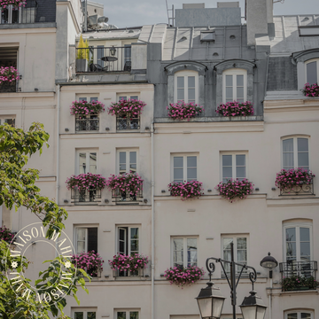 A TRIBUTE TO <em>La Vie en Paris</em>